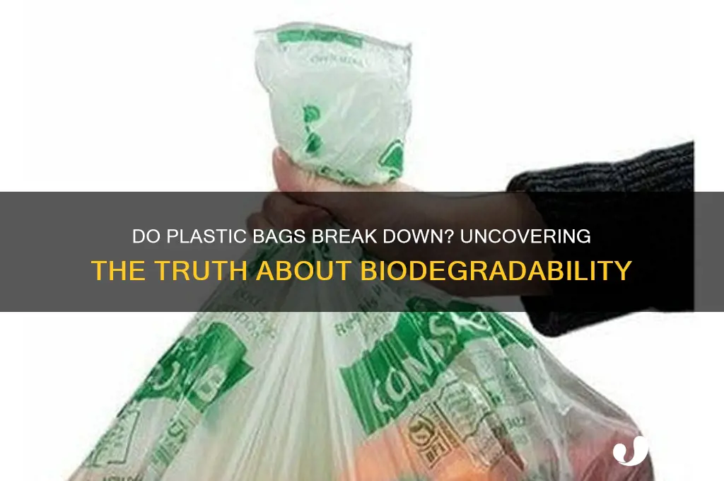 do plastic bags break down