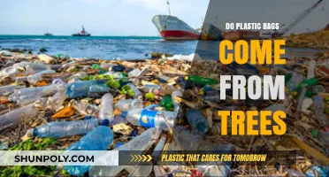 Are Plastic Bags Made from Trees? Uncovering the Surprising Truth