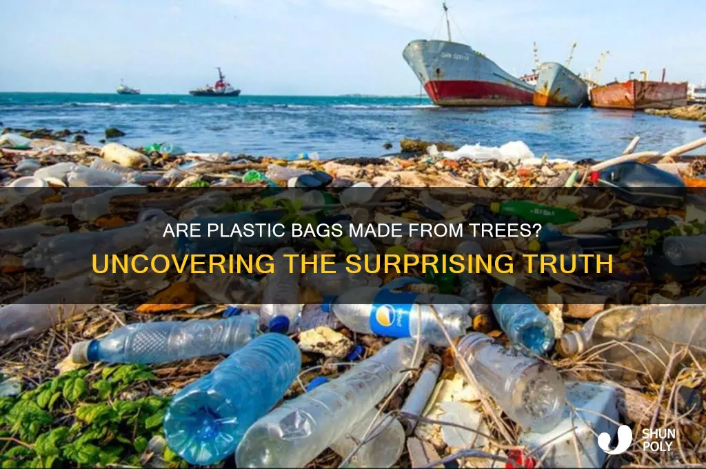 do plastic bags come from trees