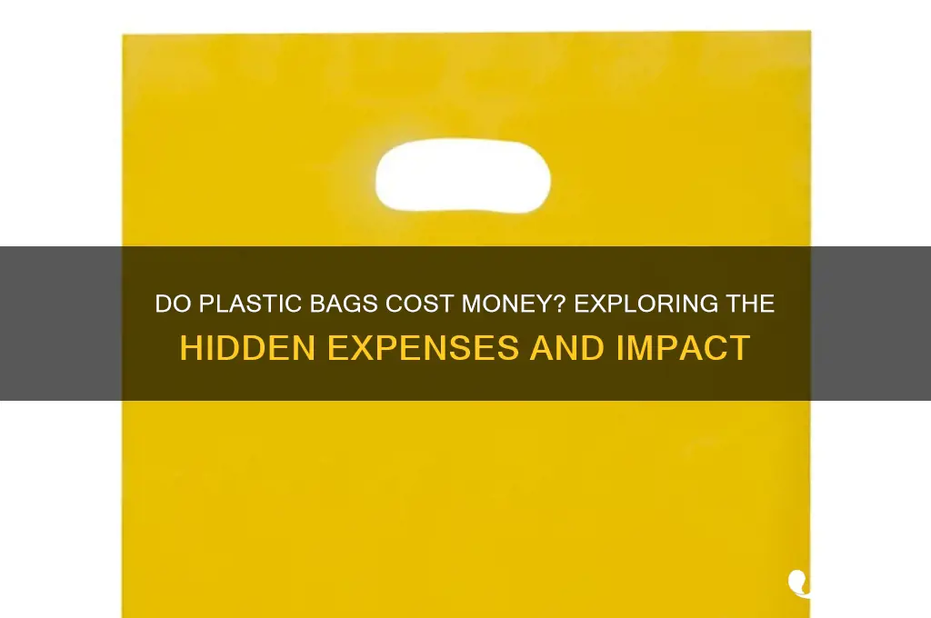 do plastic bags cost money