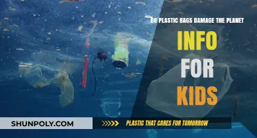 Plastic Bags and Our Planet: Simple Facts for Curious Kids