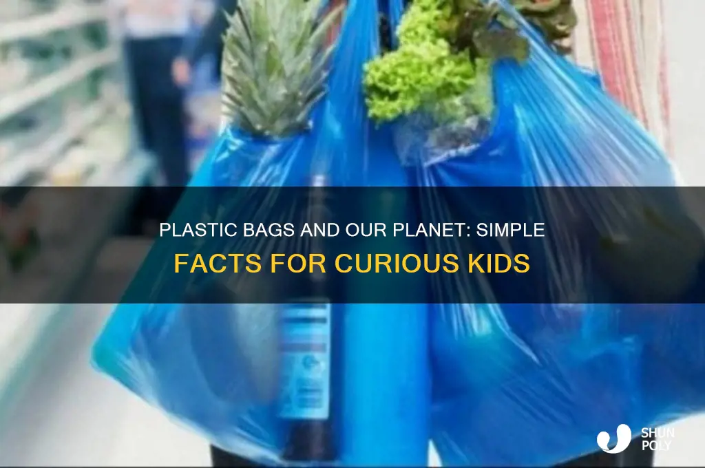do plastic bags damage the planet info for kids