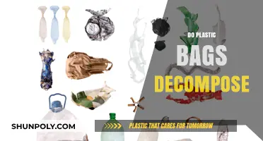 Do Plastic Bags Decompose? Uncovering the Truth About Their Lifespan