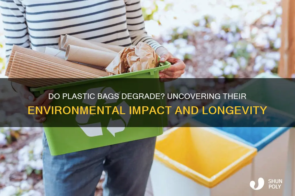 do plastic bags degrade
