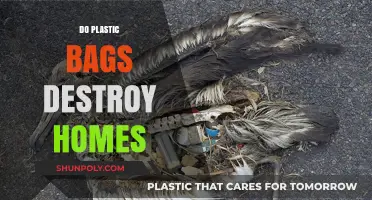 Plastic Bags: Silent Destroyers of Homes and Ecosystems