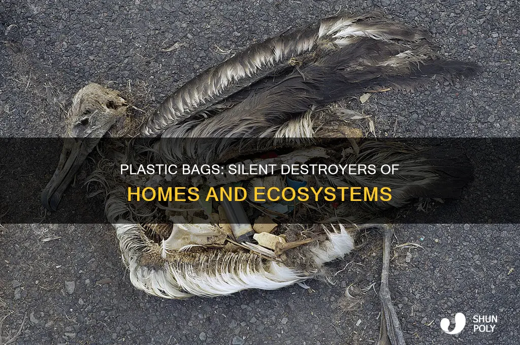 do plastic bags destroy homes