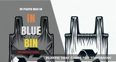 Can Plastic Bags Go in the Blue Bin? Recycling Tips Explained