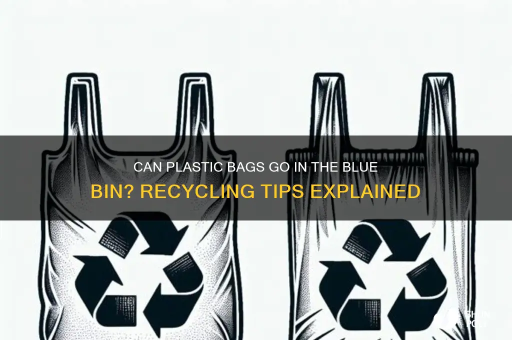 do plastic bags go in blue bin