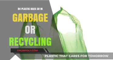 Plastic Bags: Trash or Recycling? Clear Up the Confusion Now