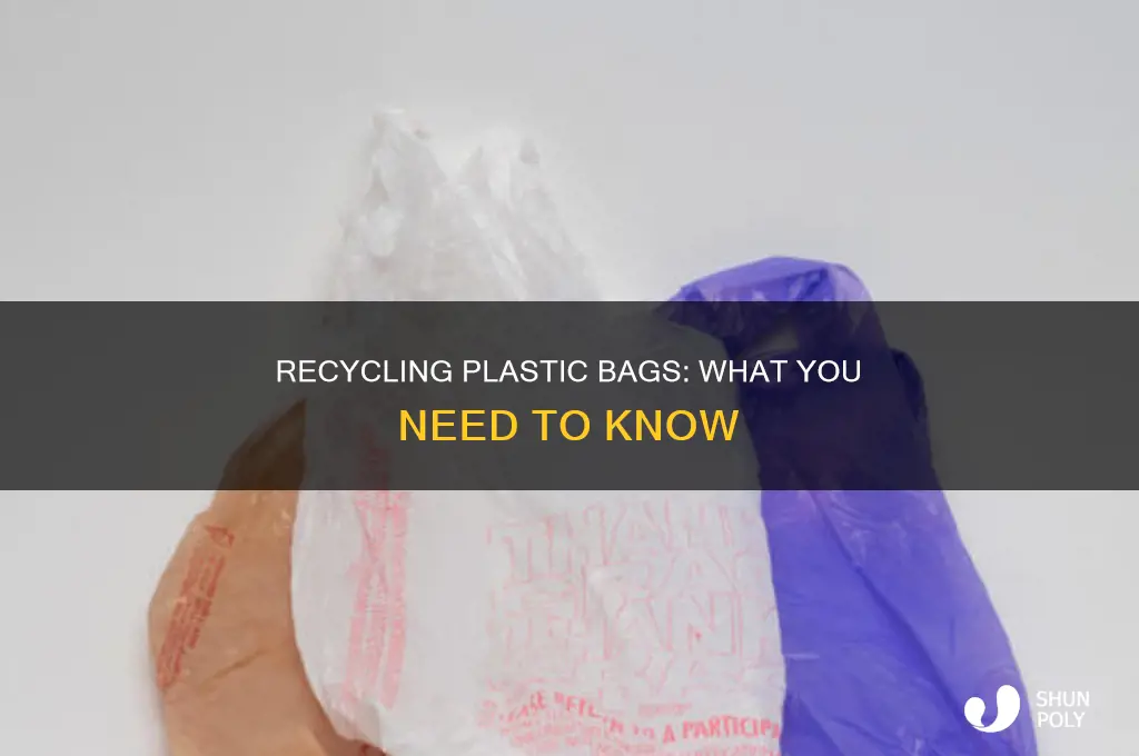 do plastic bags go in the recycle bin