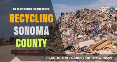 Sonoma County Recycling Guide: Can Plastic Bags Go in Mixed Bins?