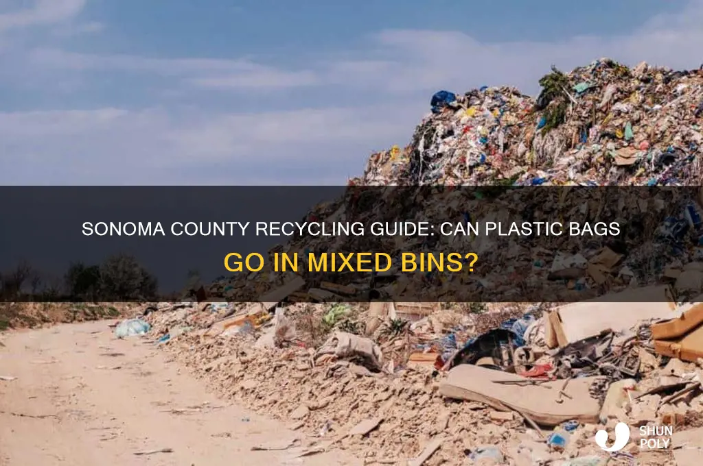 do plastic bags go into mixed recycling sonoma county