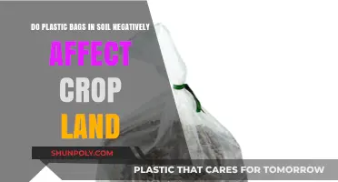 Plastic Bags in Soil: Harmful Impact on Crop Land?