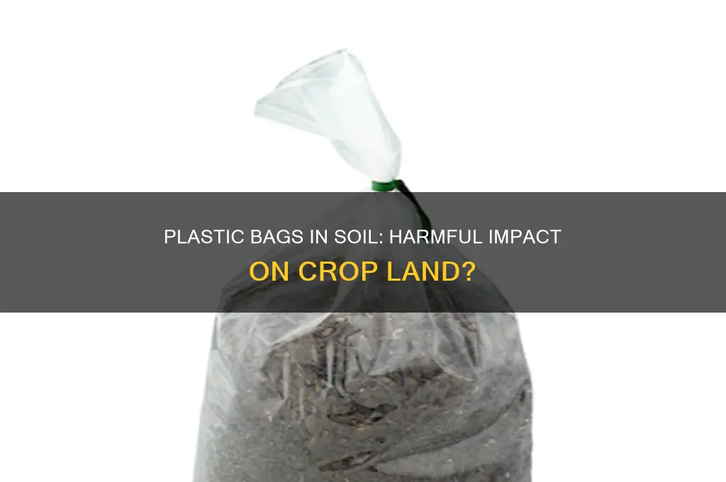 do plastic bags in soil negatively affect crop land