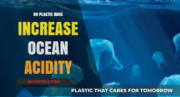 Plastic Bags and Ocean Acidification: Unraveling the Environmental Impact
