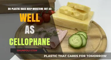 Plastic Bags vs. Cellophane: Which Better Shields Against Moisture?