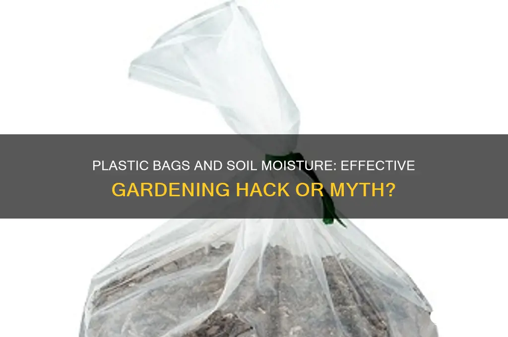 do plastic bags keep soil moist