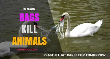 Plastic Bags: Silent Killers of Wildlife and Marine Life?