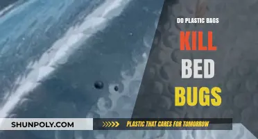 Can Plastic Bags Effectively Kill Bed Bugs? Facts and Myths