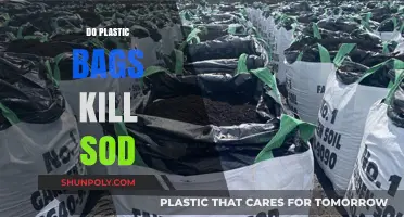 Do Plastic Bags Harm Sod? Uncovering the Environmental Impact