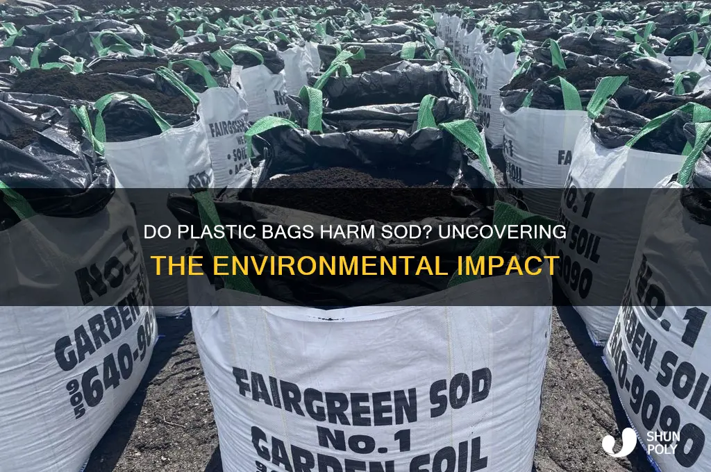 do plastic bags kill sod