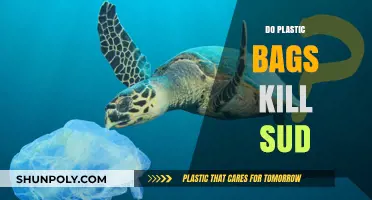 Do Plastic Bags Kill Sea Turtles? Uncovering the Deadly Truth