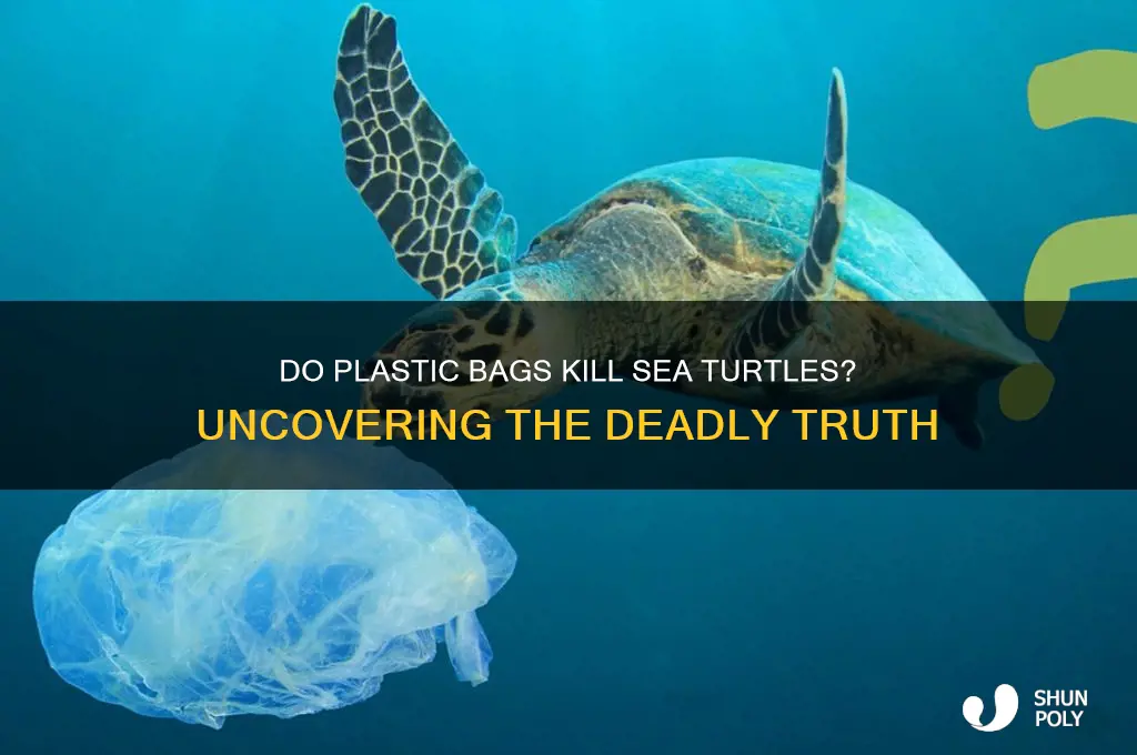 do plastic bags kill sud