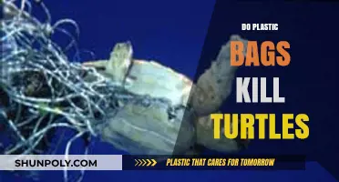 Plastic Bags and Turtle Deaths: Uncovering the Deadly Connection