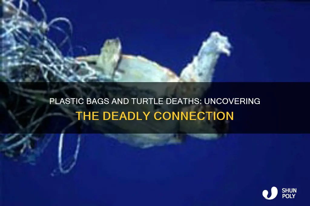 do plastic bags kill turtles