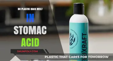 Can Stomach Acid Dissolve Plastic Bags? Uncovering the Truth