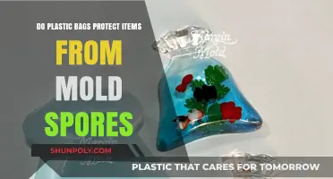 Plastic Bags vs. Mold: Effective Protection or Temporary Solution?