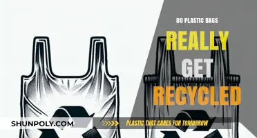 Do Plastic Bags Actually Get Recycled? Uncovering the Truth