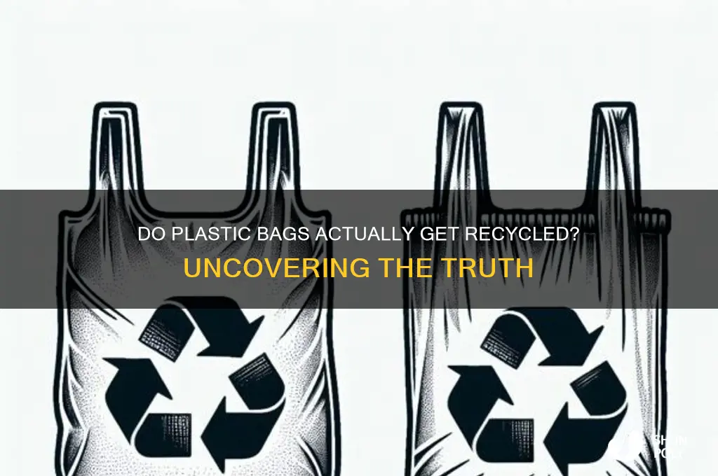 do plastic bags really get recycled