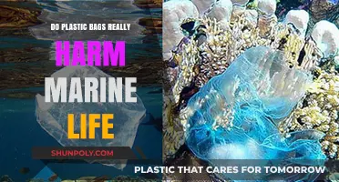 Plastic Bags in Oceans: Uncovering Their Impact on Marine Life