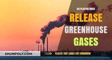 Do Plastic Bags Contribute to Greenhouse Gas Emissions?