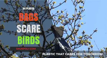 Do Plastic Bags Scare Birds? Uncovering the Truth Behind the Myth