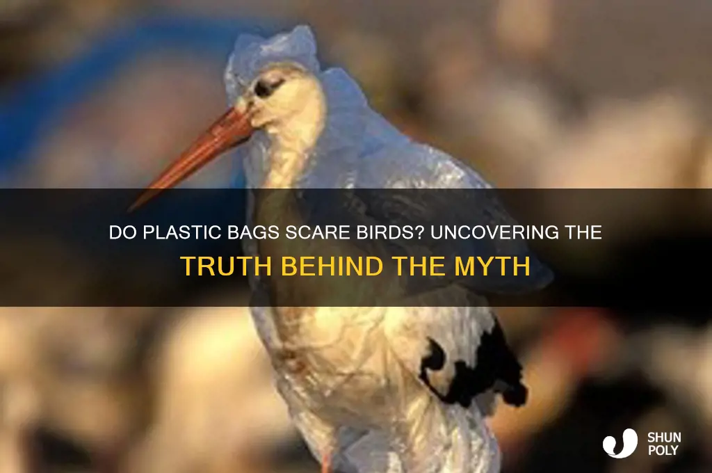 do plastic bags scare birds