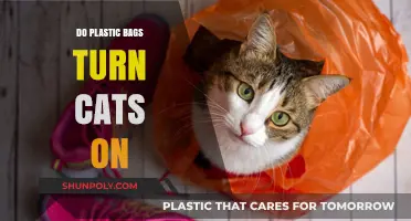 Do Plastic Bags Really Excite Cats? Unraveling the Mystery