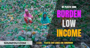 Plastic Bans: Low-Income Burden and Solutions