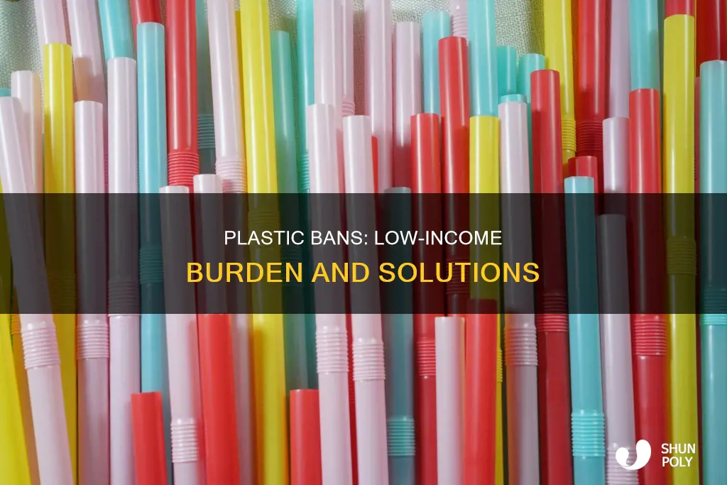 do plastic bans burden low income