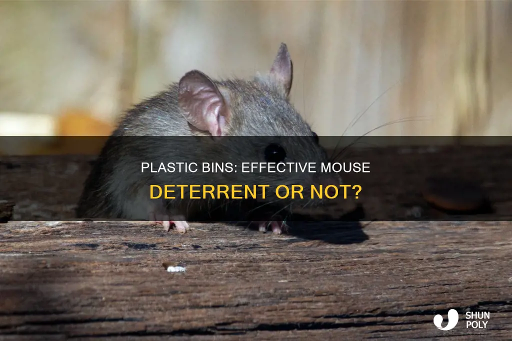 do plastic bins keep out mice
