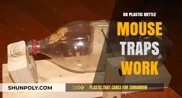 Plastic Bottle Mouse Traps: Effective DIY Solution or Just a Myth?