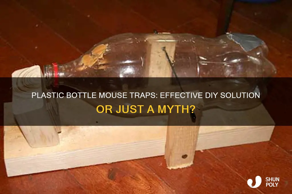 do plastic bottle mouse traps work