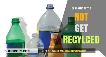 Why Most Plastic Bottles Never Actually Get Recycled