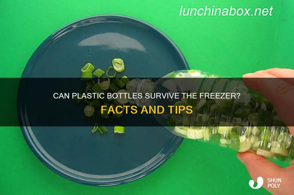 do plastic bottles break in freezer
