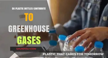 Plastic Bottles and Their Role in Greenhouse Gas Emissions