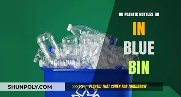 Recycling Right: Do Plastic Bottles Belong in the Blue Bin?