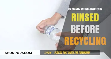 Rinse or Recycle? The Truth About Plastic Bottle Preparation