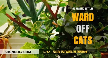 Plastic Bottles as Cat Deterrents: Myth or Effective Solution?
