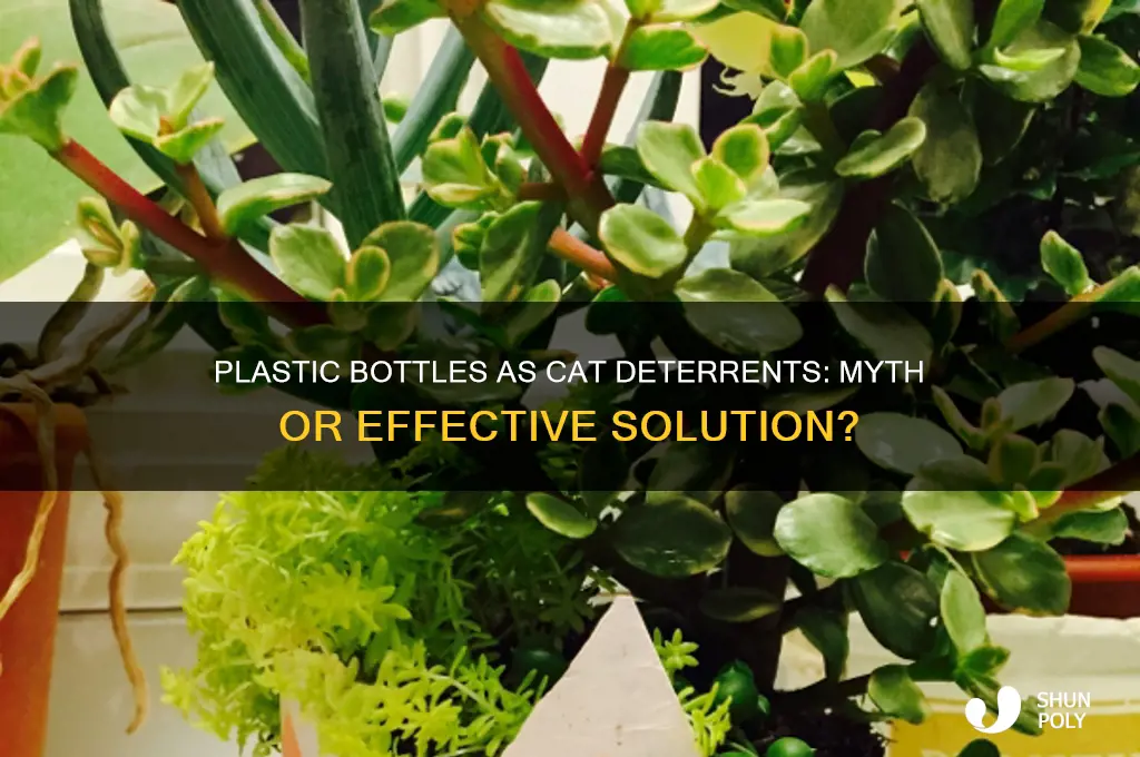 do plastic bottles ward off cats
